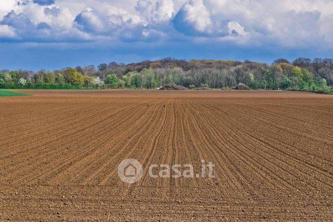 Terreno agricolo in commerciale in 