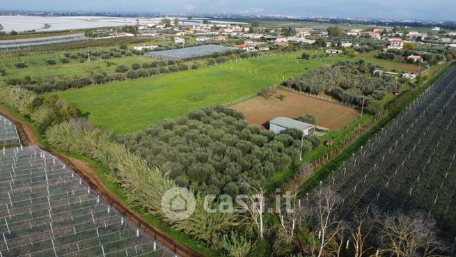Terreno agricolo in commerciale in Via Plinio il Vecchio