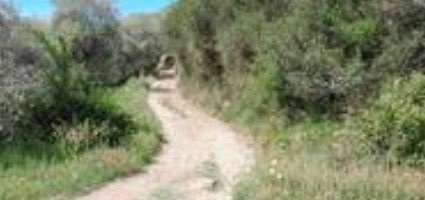 Terreno agricolo in commerciale in Strada Sant'Andrea