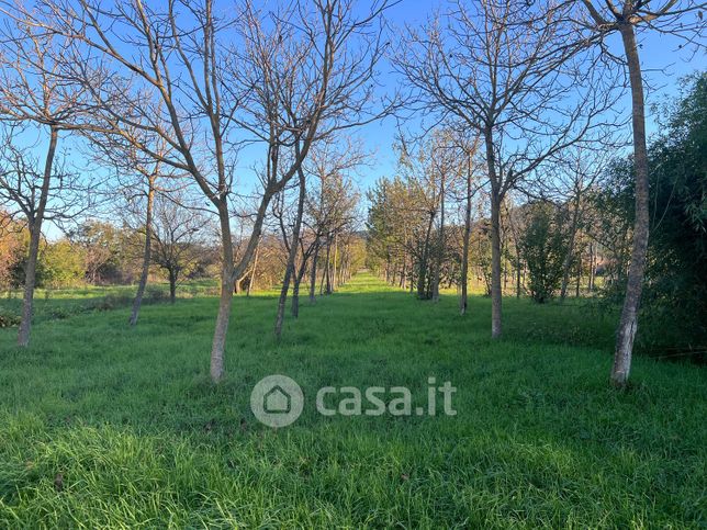 Terreno agricolo in commerciale in Località Chiani