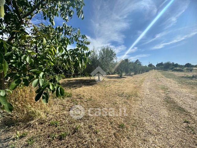 Terreno agricolo in commerciale in Via Degli Olmi