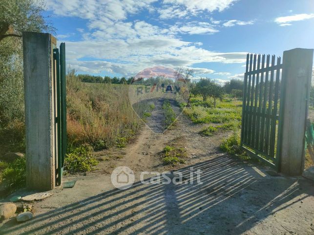 Terreno agricolo in commerciale in Contrada Agnelleria