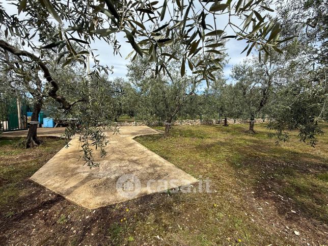 Terreno agricolo in commerciale in Contrada MACCHIA DI MARE