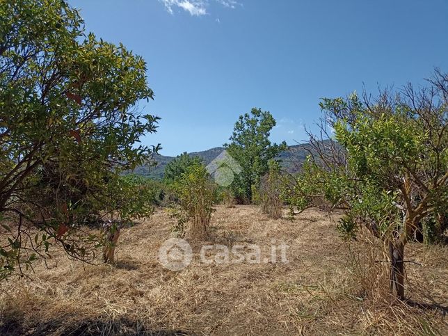 Terreno agricolo in commerciale in Via Cutrufelli