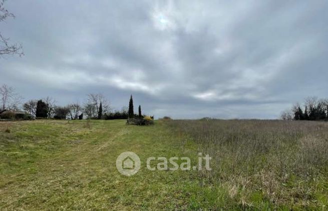 Terreno agricolo in commerciale in Via Palazzo