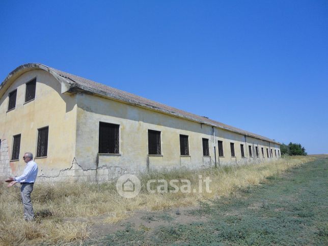 Terreno agricolo in commerciale in Contrada san Giovanni in Fonte