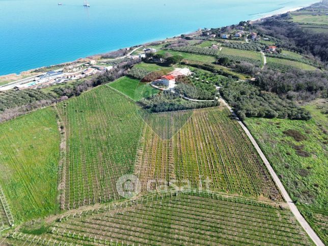 Terreno agricolo in commerciale in Contrada Lentesco