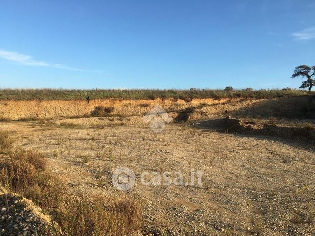 Terreno agricolo in commerciale in Contrada Ariola