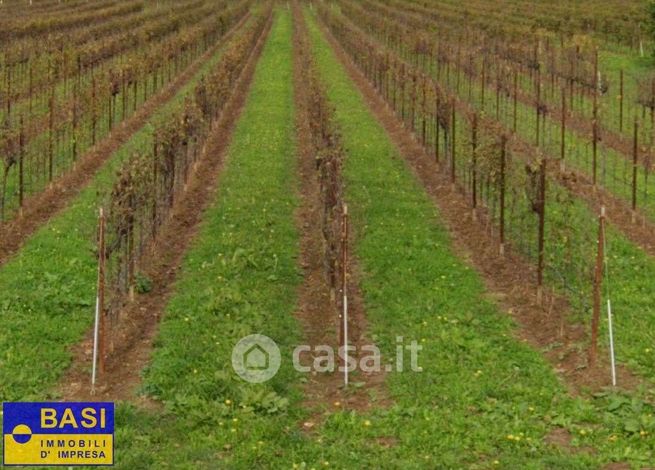 Terreno agricolo in commerciale in Via Chiesa