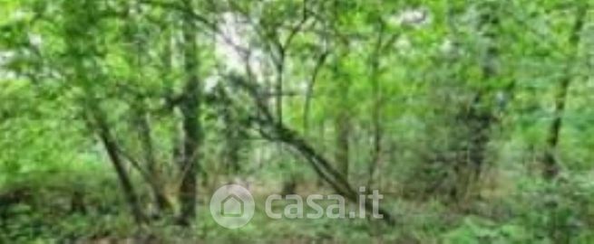 Terreno agricolo in commerciale in Via Motta del Santo