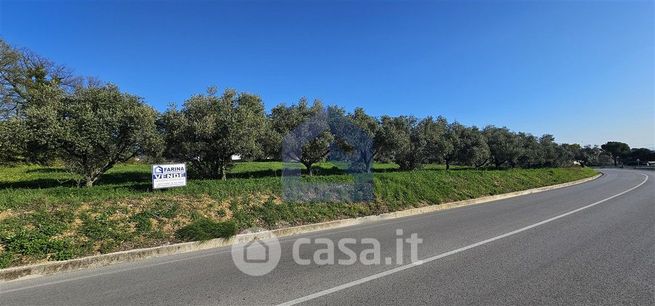 Terreno edificabile in residenziale in SS84
