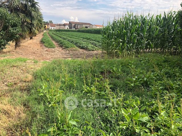 Terreno agricolo in commerciale in Strada Cavedon