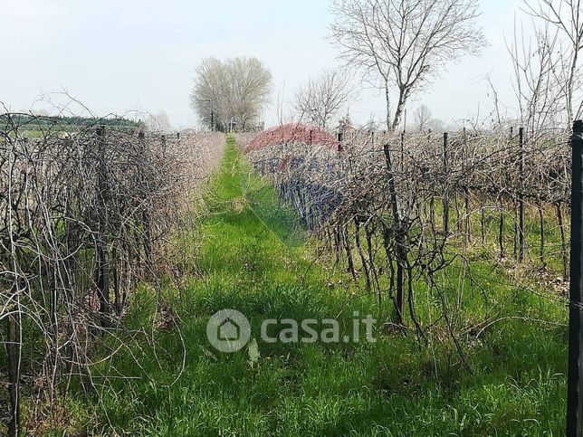 Terreno agricolo in commerciale in Strada Serrati