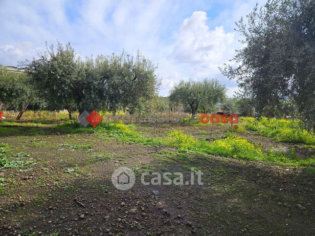 Terreno agricolo in commerciale in Strada Provinciale 3iii