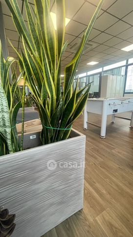 Negozio/locale commerciale in commerciale in Circonvallazione Nuova