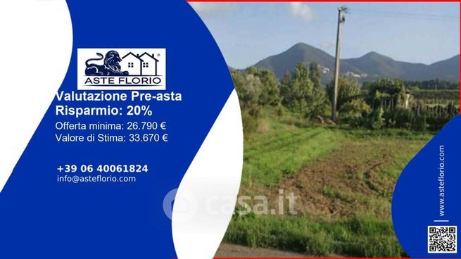 Terreno agricolo in commerciale in Via Isola di Giannutri