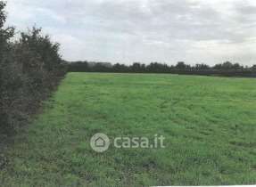 Terreno agricolo in commerciale in Via Lombardina