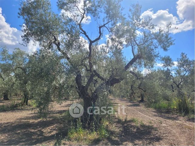 Rustico/casale in residenziale in Via Tiro a Segno