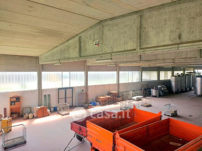 Capannone in commerciale in Strada Statale 617 Bronese