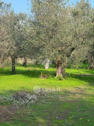 Terreno agricolo in commerciale in Via Sessa - Avezzano 87