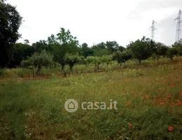Terreno agricolo in commerciale in Via Egidio Covello