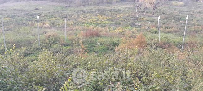 Terreno agricolo in commerciale in 