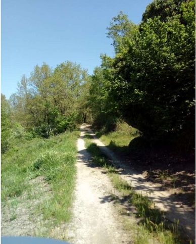 Terreno agricolo in commerciale in Via Innocenzo VIII