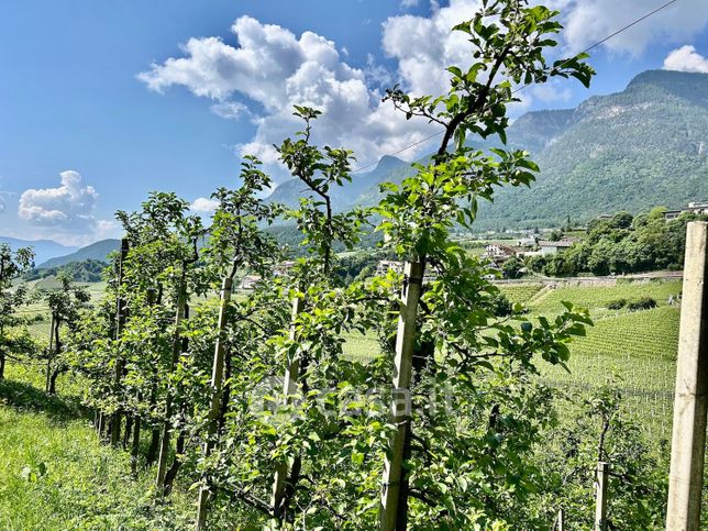 Terreno agricolo in commerciale in Via Monticolo