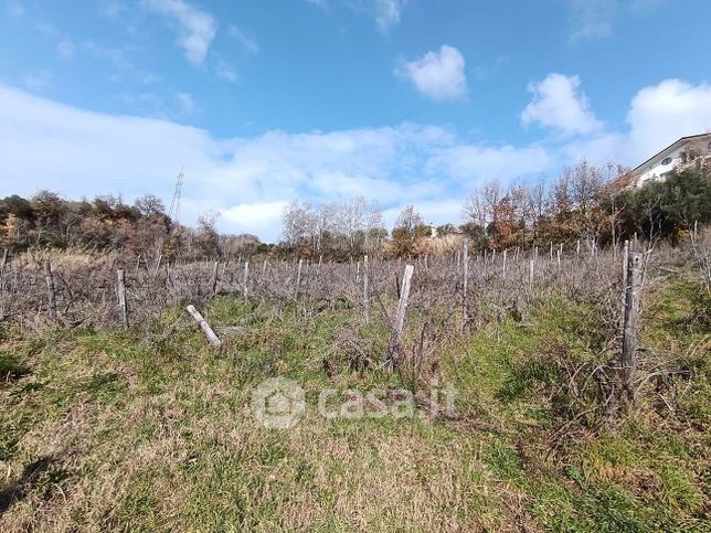 Terreno agricolo in commerciale in 