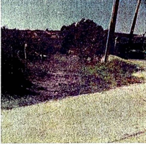 Terreno agricolo in commerciale in Via Cerreta