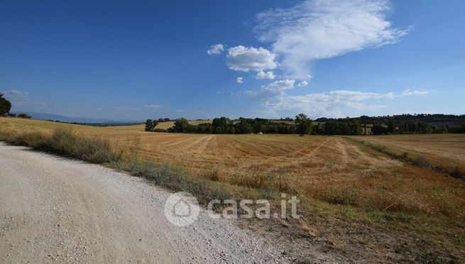 Terreno agricolo in commerciale in 