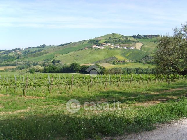 Terreno agricolo in commerciale in Contrada Gaudiosi