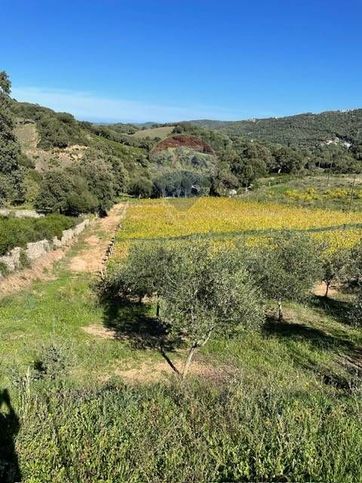 Terreno agricolo in commerciale in Strada Senza Nome