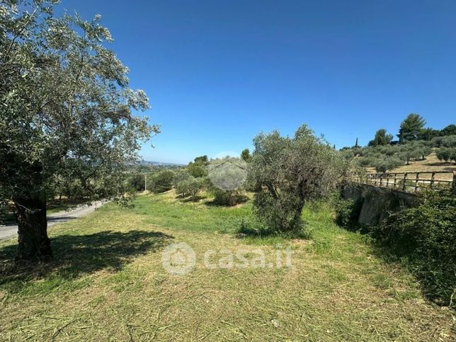 Terreno agricolo in commerciale in Strada Provinciale 41 1