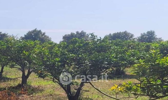 Terreno agricolo in commerciale in E45 358