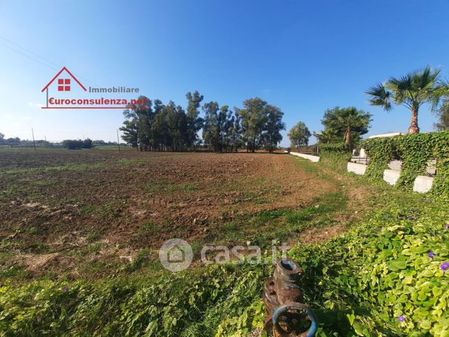 Terreno agricolo in commerciale in Strada Provinciale 263