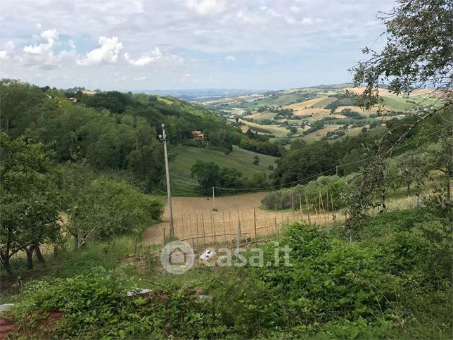Terreno agricolo in commerciale in Frazione Sappanico 25