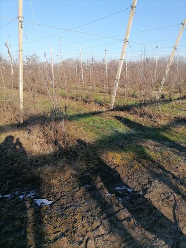 Terreno agricolo in commerciale in 