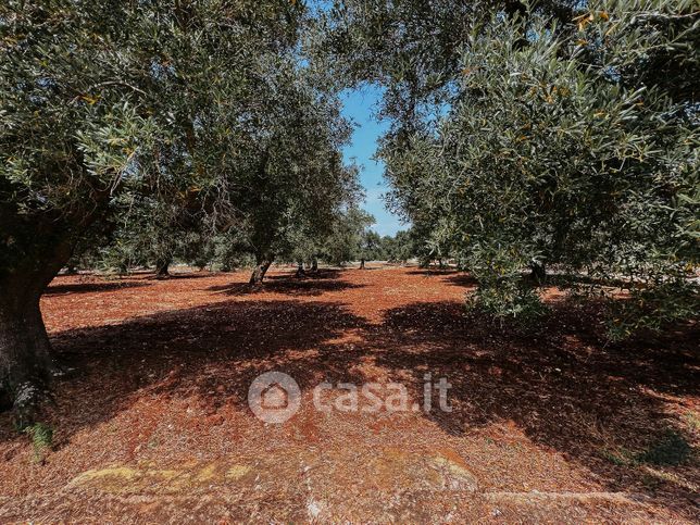 Rustico/casale in residenziale in Strada Statale 16