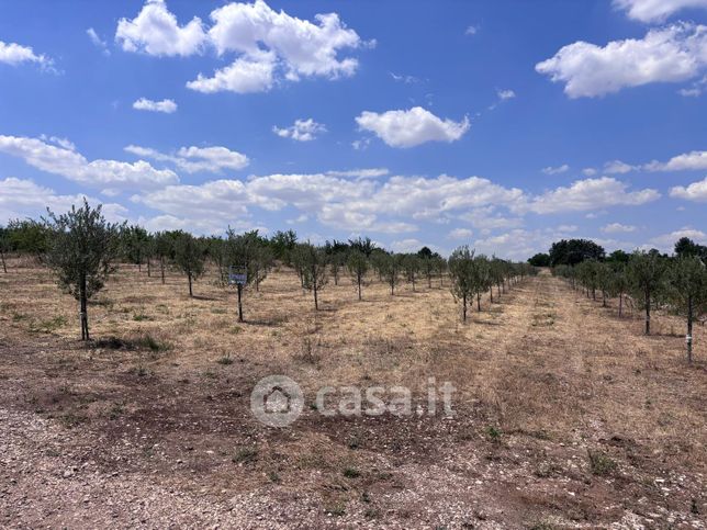 Terreno agricolo in commerciale in Via Castel del Monte