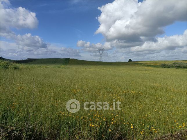 Terreno agricolo in commerciale in Via della Mainella