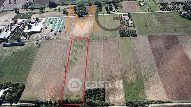 Terreno agricolo in commerciale in Contrada Marozza