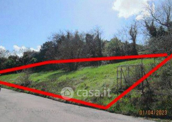 Terreno agricolo in commerciale in Via dei Ciclamini
