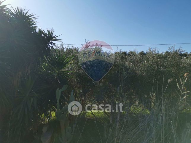 Terreno agricolo in commerciale in Stradale Coda Volpe