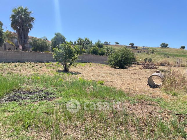 Terreno agricolo in commerciale in Rocca catalano