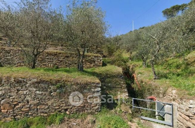 Terreno agricolo in commerciale in Via Cima alla Serra