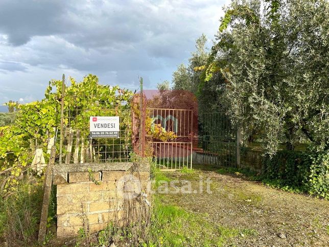 Terreno agricolo in commerciale in Via di Torre Jacova