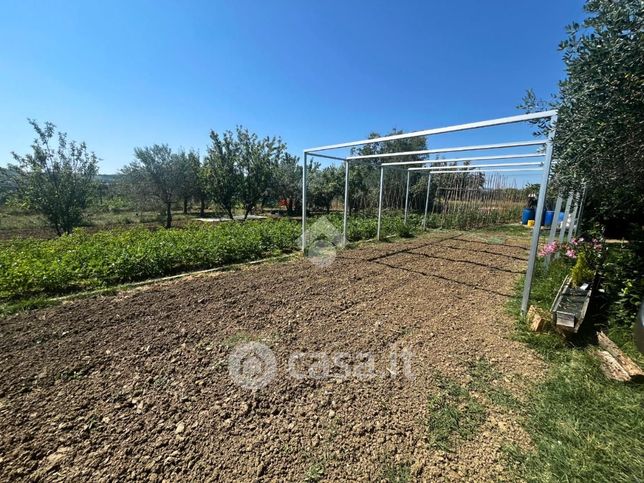 Terreno agricolo in commerciale in Strada di Falcineto 1