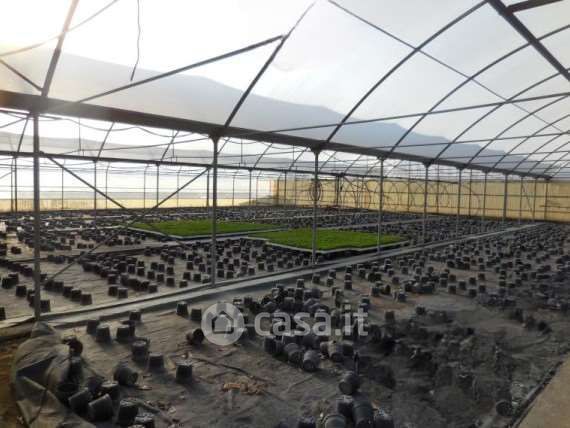 Terreno agricolo in commerciale in Contrada l' Assunta