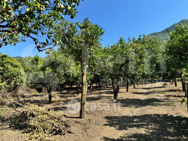 Terreno agricolo in commerciale in Via Ponte Aiello 121